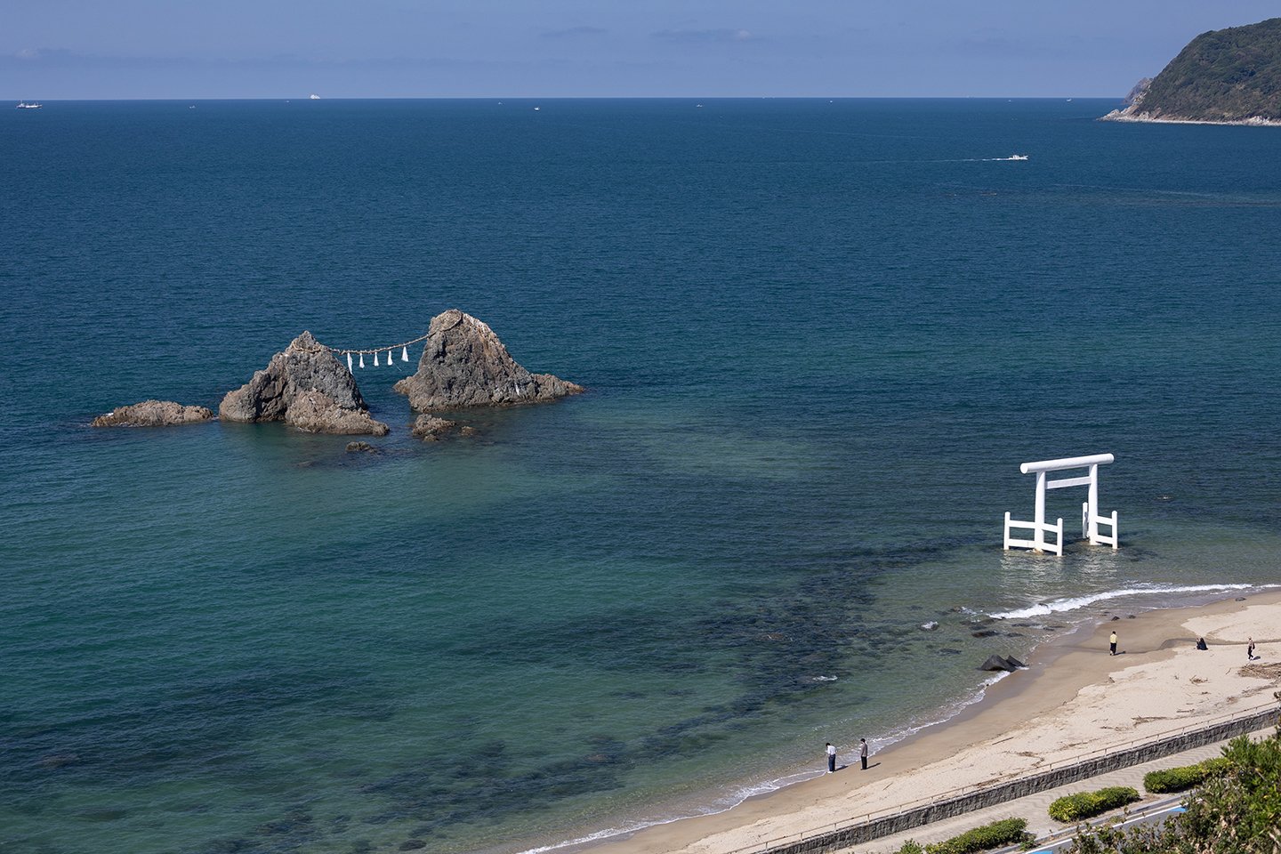 🌊 사쿠라이 해안(사쿠라이카이간)